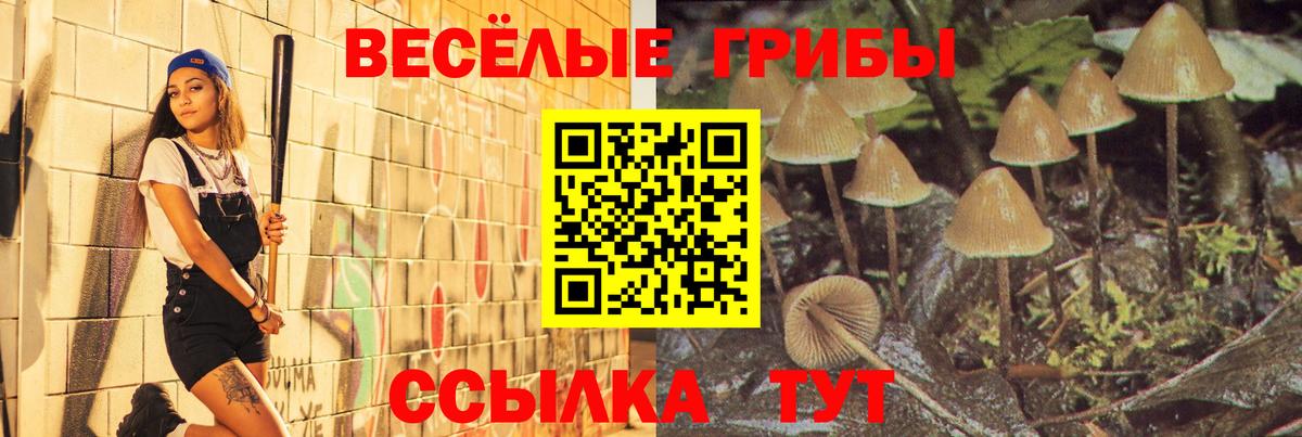 Вязьма  Галлюциногенные грибы Psilocybine cubensis  Вход с VPN  Галлюциногенные грибы GOLDEN TEACHER 